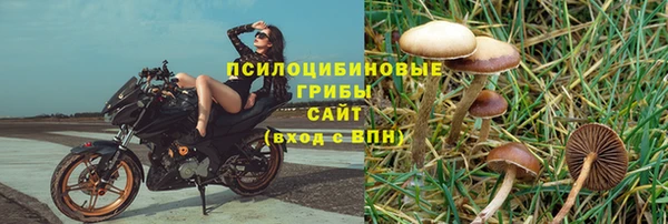 соль ск Горно-Алтайск