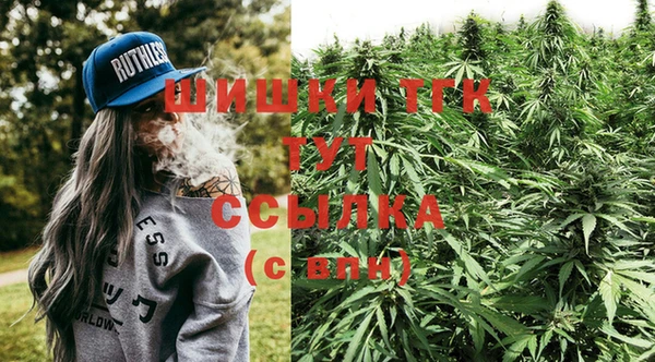 альфа пвп Горнозаводск