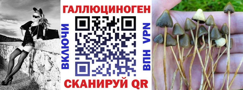 Псилоцибиновые грибы MAGIC MUSHROOMS  Купить  Пересвет 